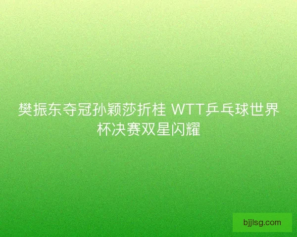 樊振东夺冠孙颖莎折桂 WTT乒乓球世界杯决赛双星闪耀
