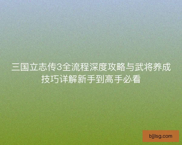 三国立志传3全流程深度攻略与武将养成技巧详解新手到高手必看