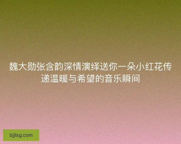 魏大勋张含韵深情演绎送你一朵小红花传递温暖与希望的音乐瞬间
