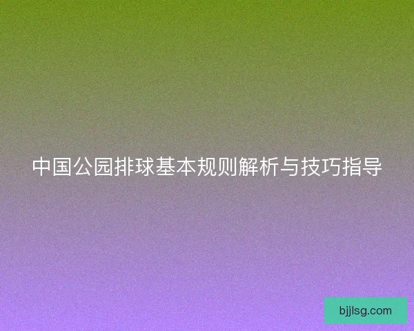 中国公园排球基本规则解析与技巧指导